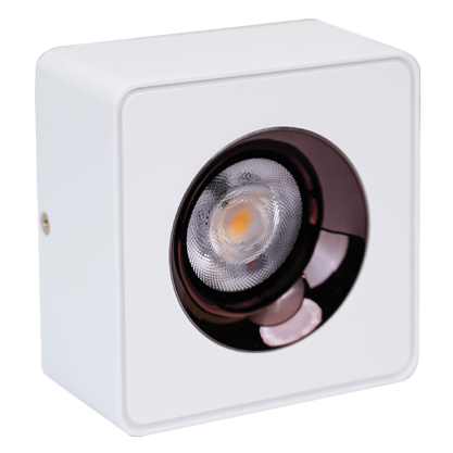 Đèn ốp trần 12W